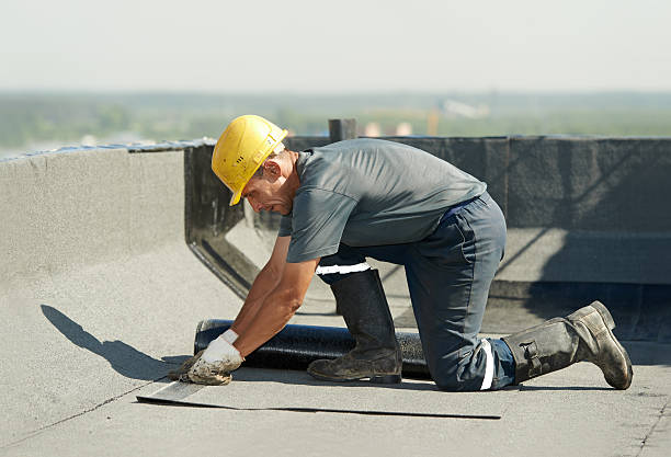 Best Geographic-Specific Insulation Services in Sylvania, OH