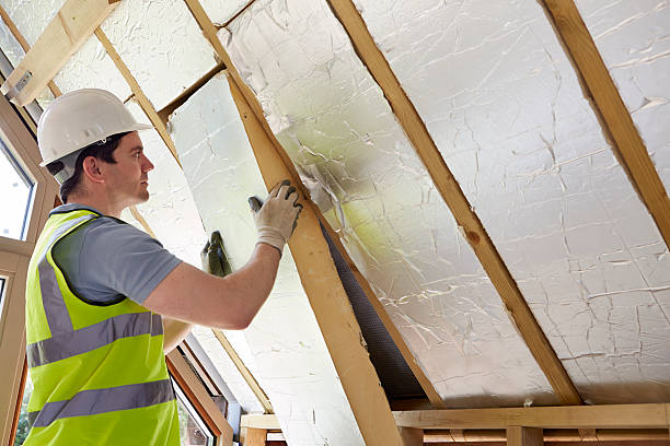 Best Cellulose Insulation in Sylvania, OH